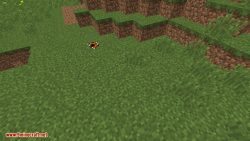 Animals Plus Mod 1.8.9/1.7.10 (More Nature, Extra Mobs) - 9Minecraft.Net