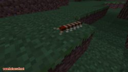 Animals Plus Mod 1.8.9/1.7.10 (More Nature, Extra Mobs) - 9Minecraft.Net