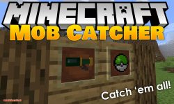 Mob Catcher Mod 1 16 5 1 15 2 Gotta Catch Em All 9minecraft Net