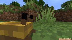 Unnamed Animals Mod 1.16.5 (Creatures) - 9Minecraft.Net