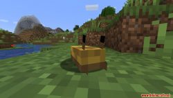 Unnamed Animals Mod 1.16.5 (Creatures) - 9Minecraft.Net