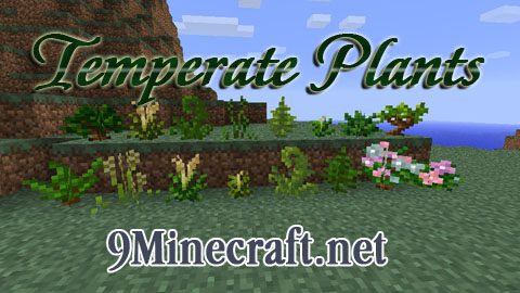 Flower Forest biome – Pixelmon Reforged Wiki