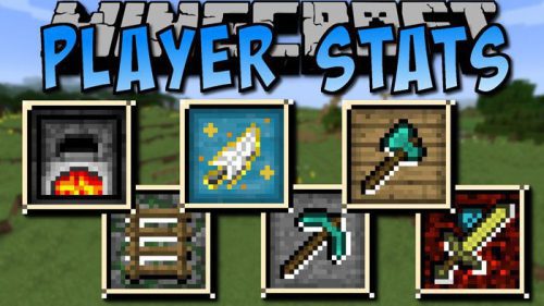 Player Stats 2 Mod for Minecraft 1.11.2/1.10.2