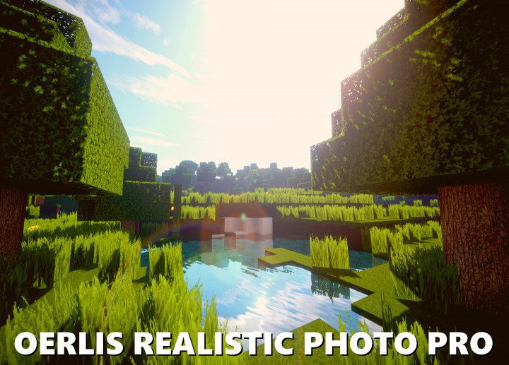 Oerlis Realistic - Textura para Minecraft PE 1.16 - Mundo Android