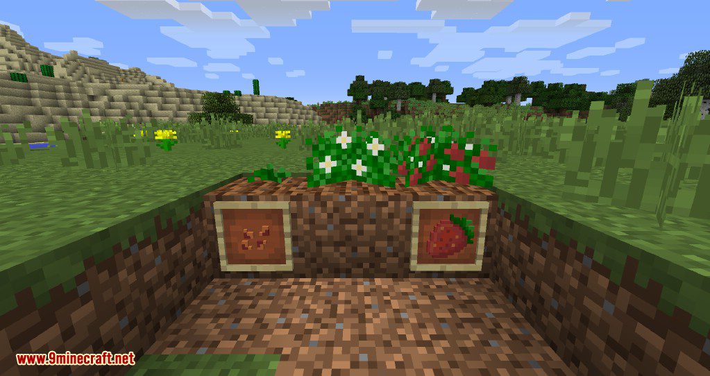 Simply Strawberries Mod Screenshots 1