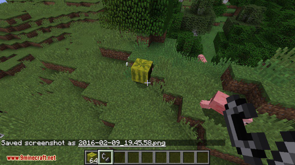 Angry Melons Mod Screenshots 2