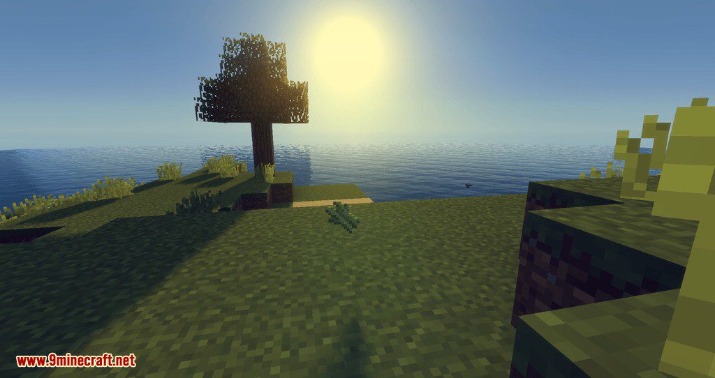 Configurable Cane mod for minecraft 01