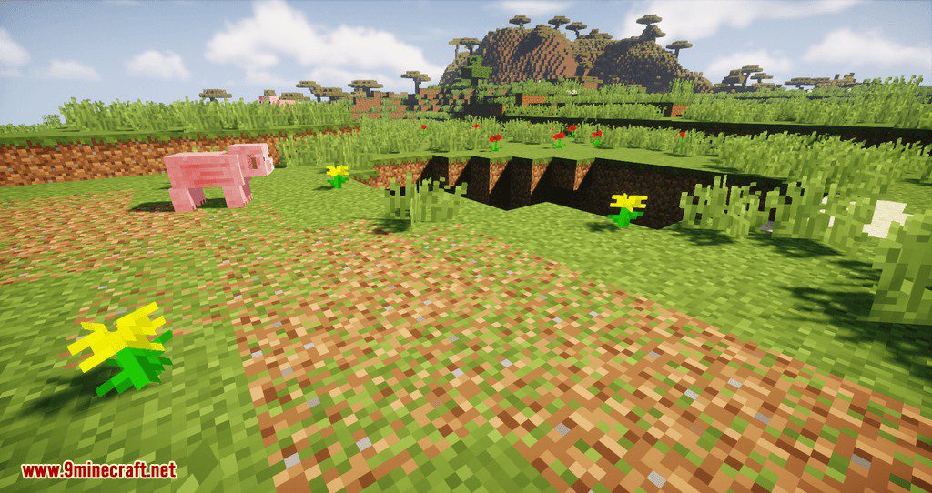 Desire Paths mod for minecraft 09