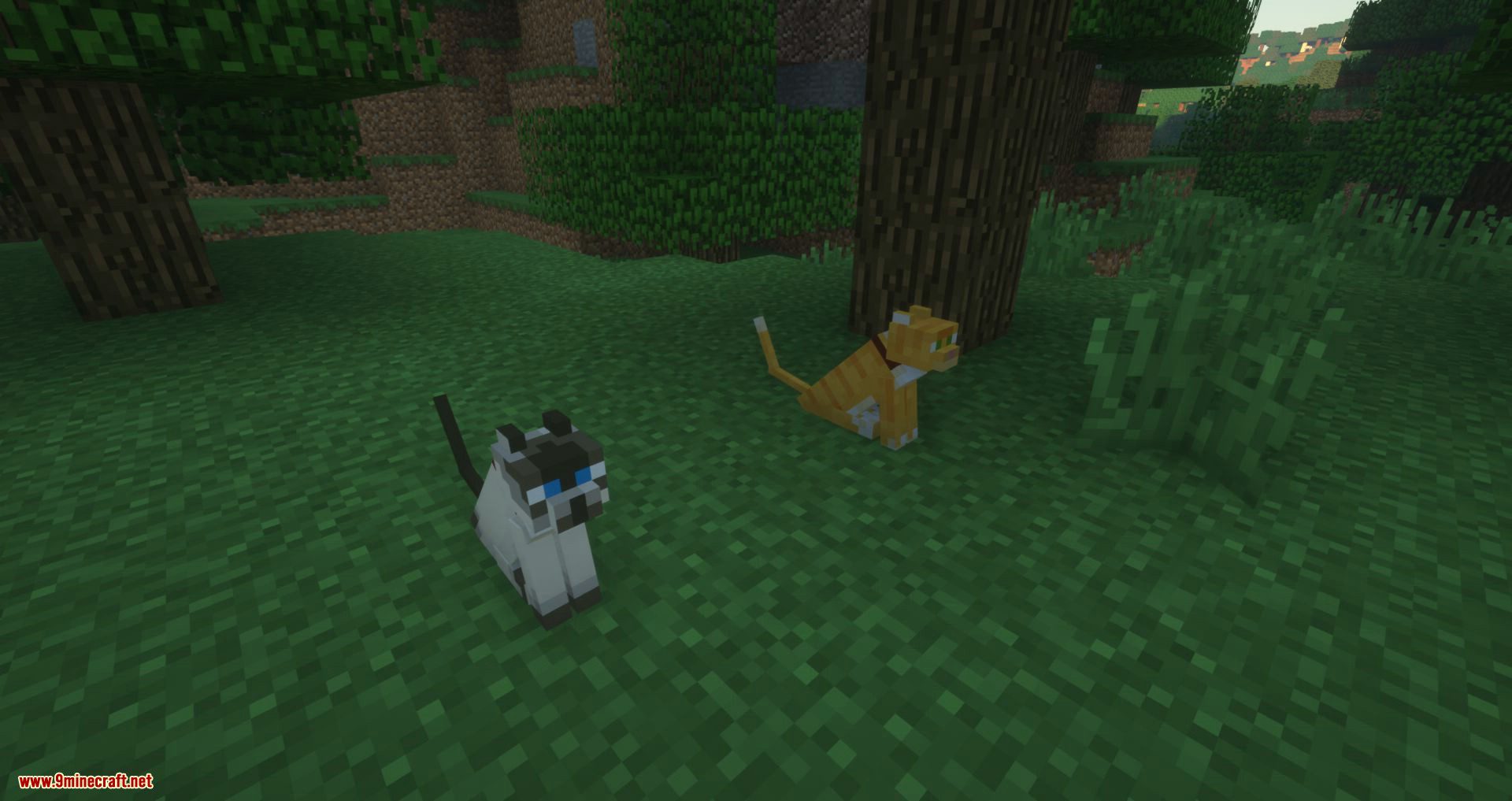 Not Enough Cats Mod 1.12.2, 1.11.2 (New Cat Types & Spawning Behavior ...