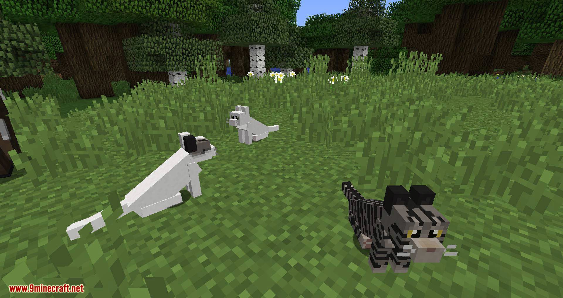 Simply Cats Mod 1.12.2 (Adds a Ton of Different Colored Cats ...