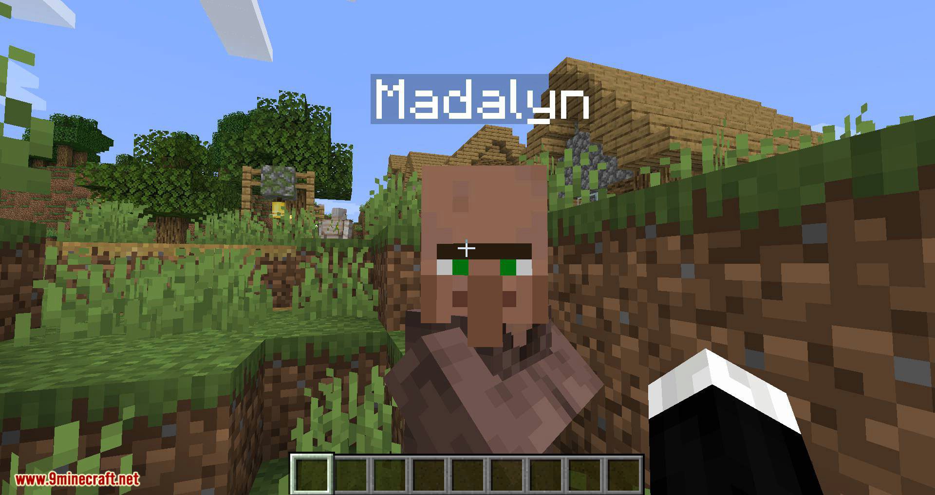 Villager Names mod for minecraft 02