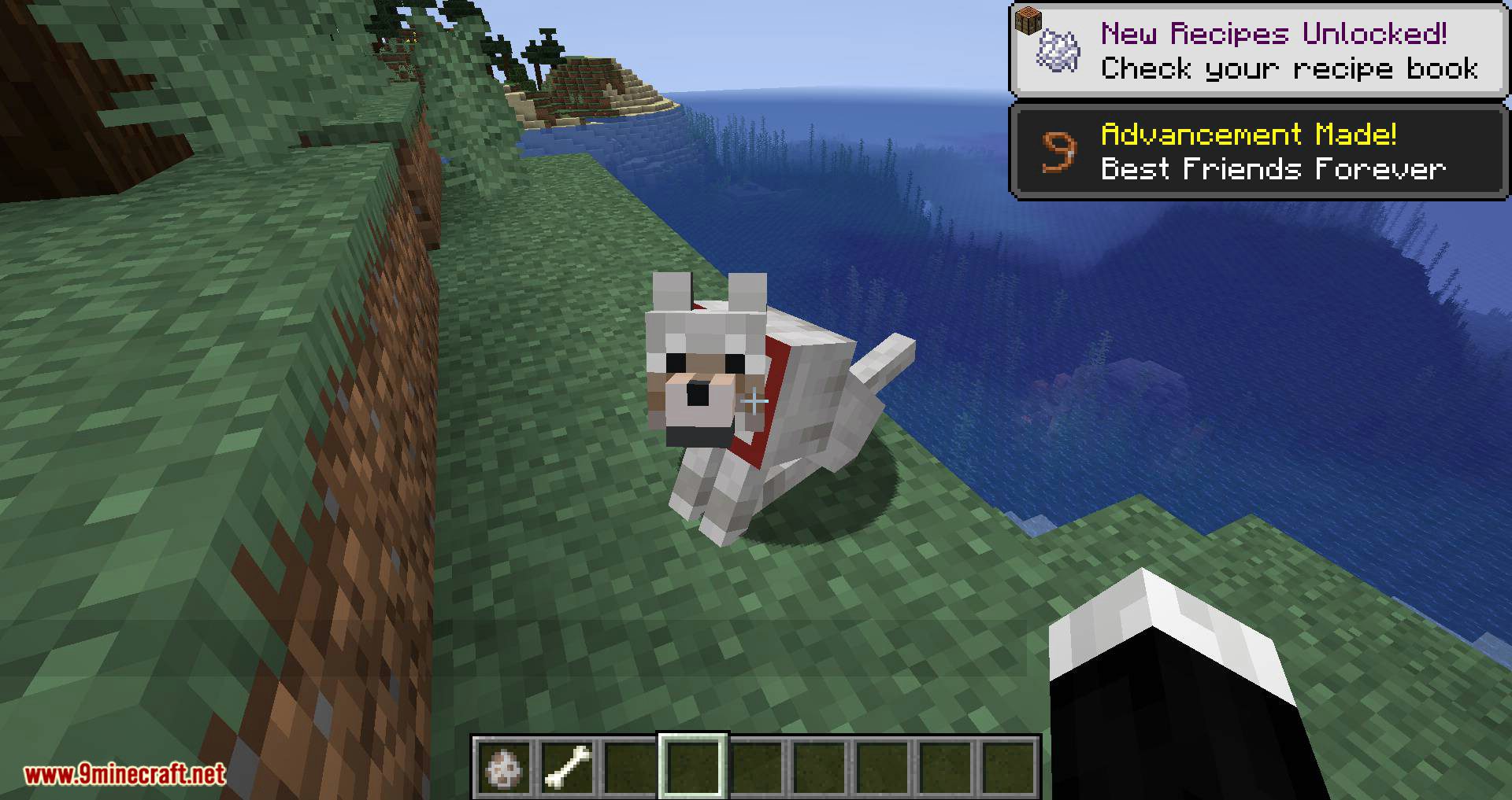Minecraft Dog Mode