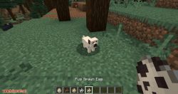 More Dogs Mod 1.15.2/1.14.4 (More Dog Breeds to Minecraft) - 9Minecraft.Net