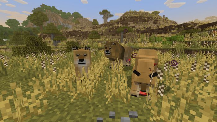 yCreatures Savanna Addon (1.19) - 40+ Wildlife Animals - 9Minecraft.Net