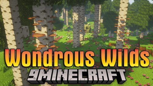 Minecraft 1.19 The Wild Update Mod Minecraft Mod
