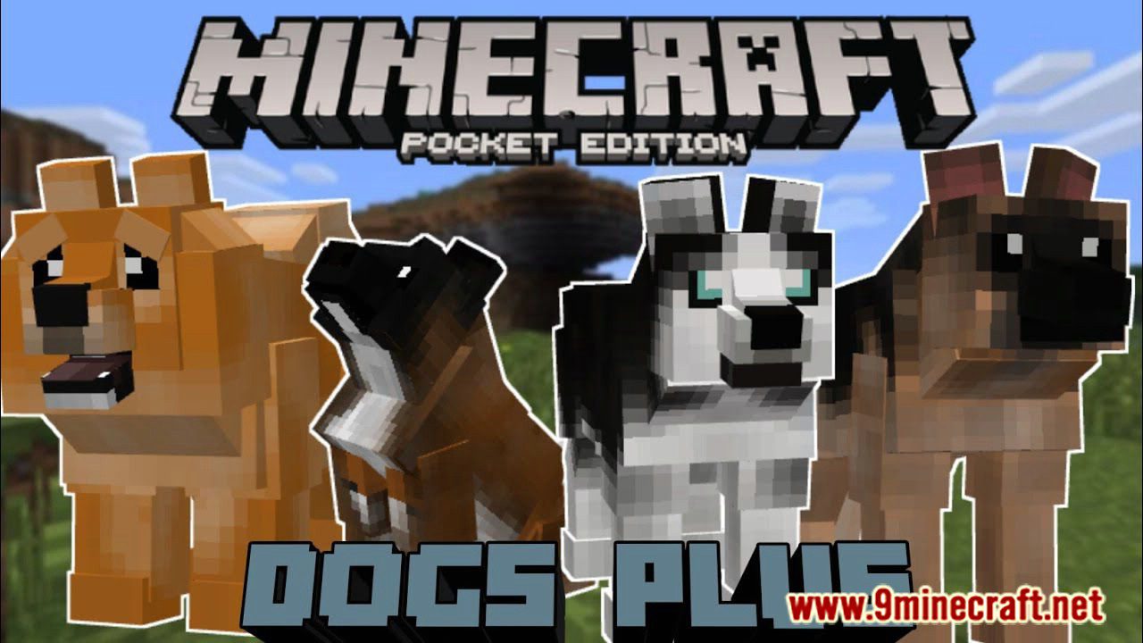 Dogs Plus Addon (1.19) for Minecraft PE/Bedrock - 9Minecraft.Net