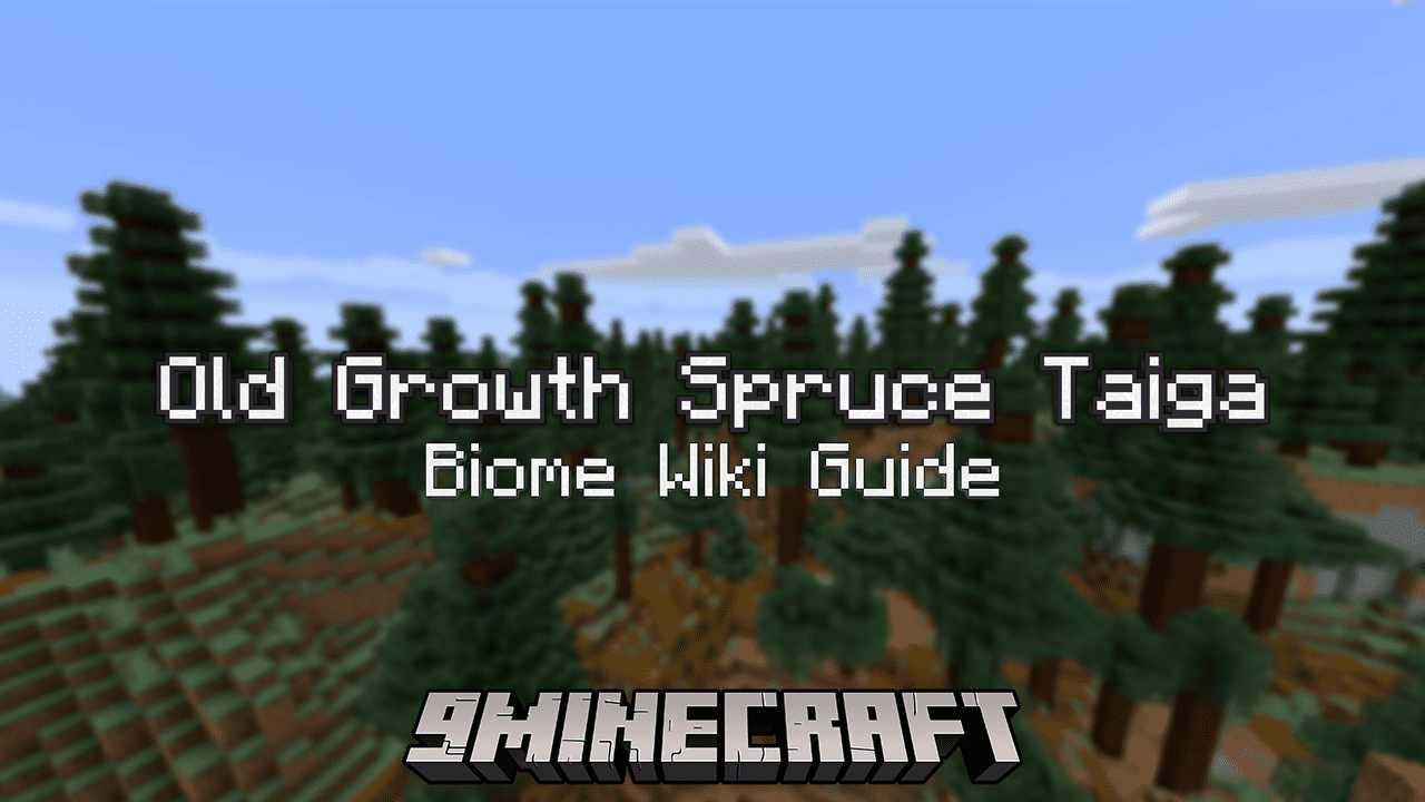 My take on path for the old growth spruce taiga biome : r/Minecraft