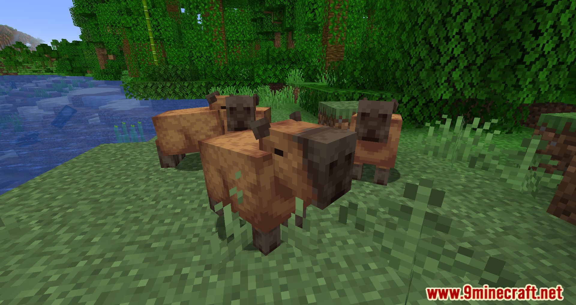 Capybara for Minecraft 1.19