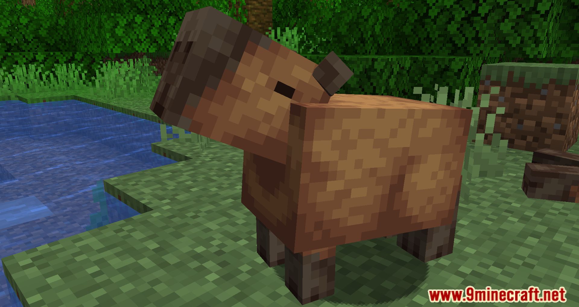 Capybara mod minecraft