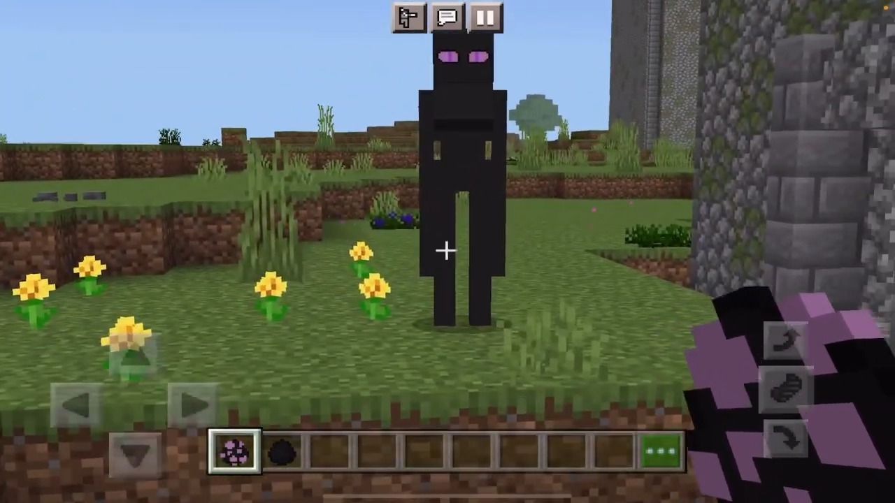 Enderwoman mod