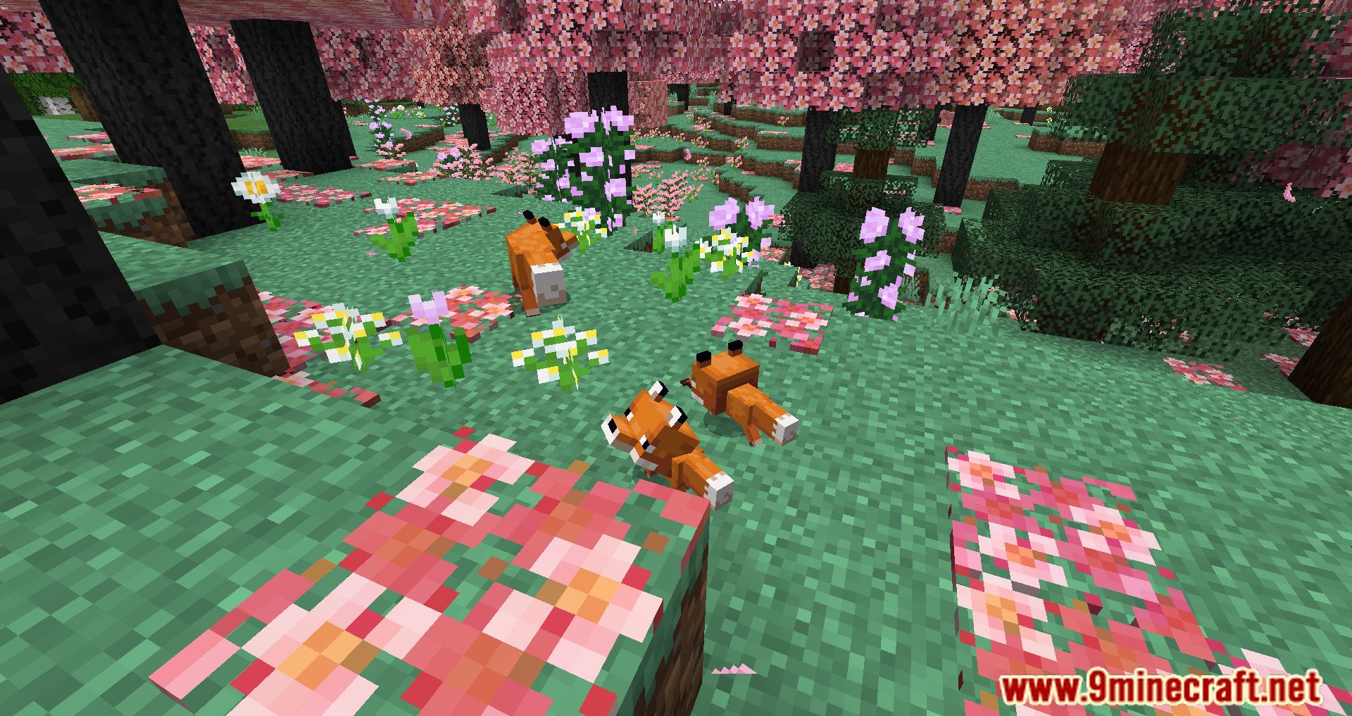 Pink Mod (1.19.3, 1.18.2) - Bringing Love Into The World - 9Minecraft.Net