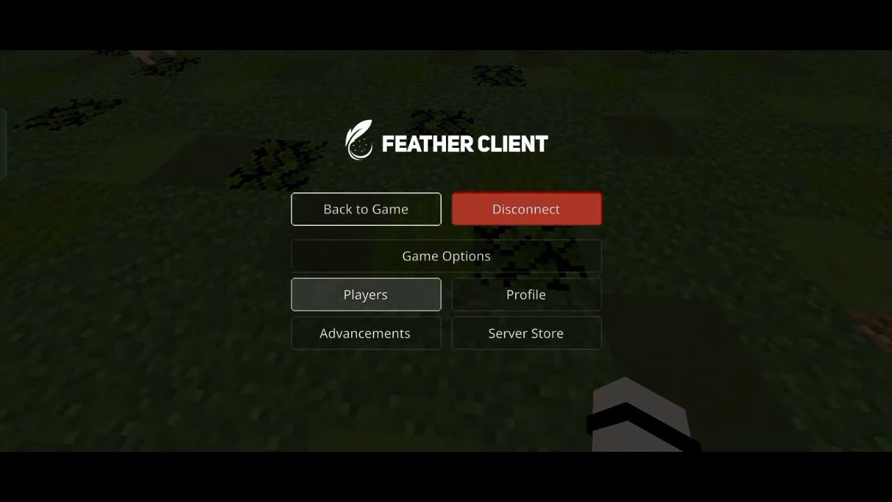 Feather Client