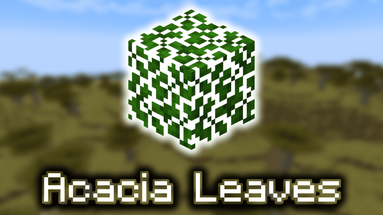 acacia leaves minecraft