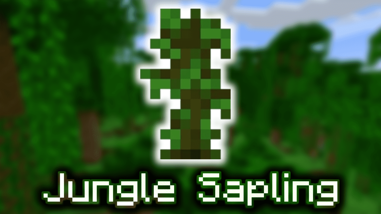 Jungle Saping Wiki Guide Minecraft Net