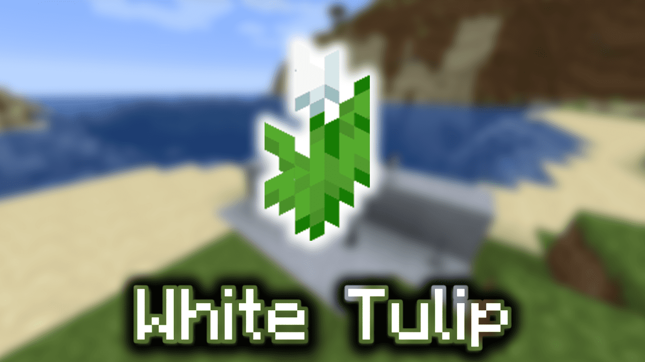 White Tulip Wiki Guide Minecraft Net