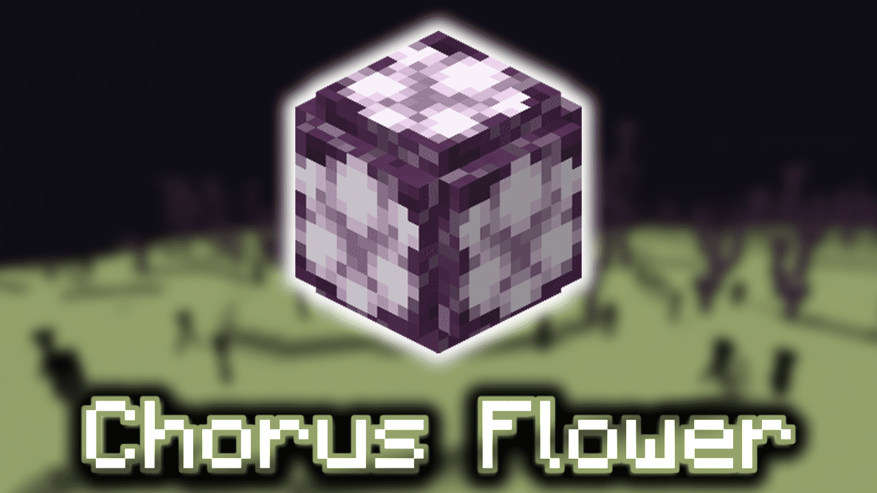 chorus-flower-wiki-guide-9minecraft-net