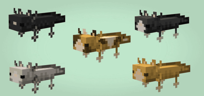 04AM's Axolotls Remastered [1.19.x] Minecraft Texture Pack