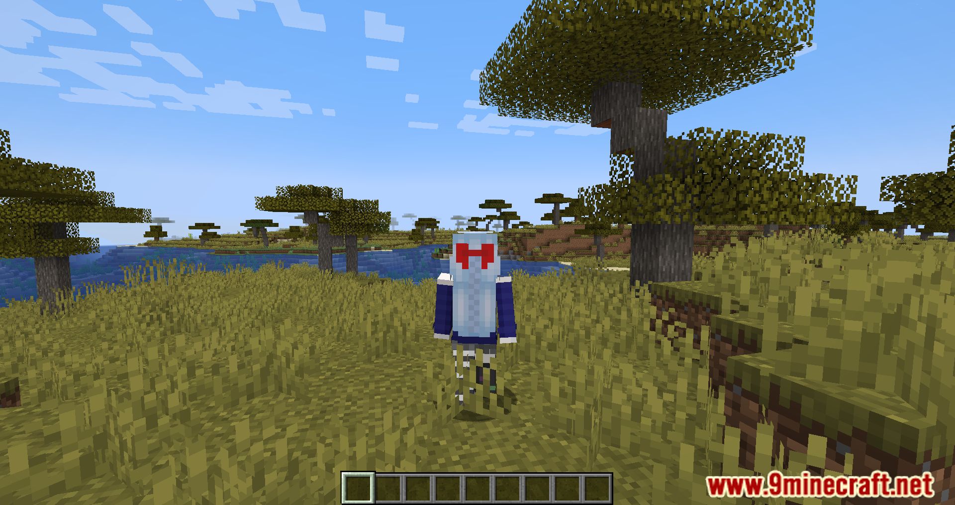 how to download a skin for minecraft
