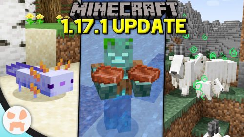Minecraft 1.17.1 release date confirmed (for now)