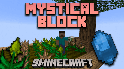 5 best Minecraft mods for blocks