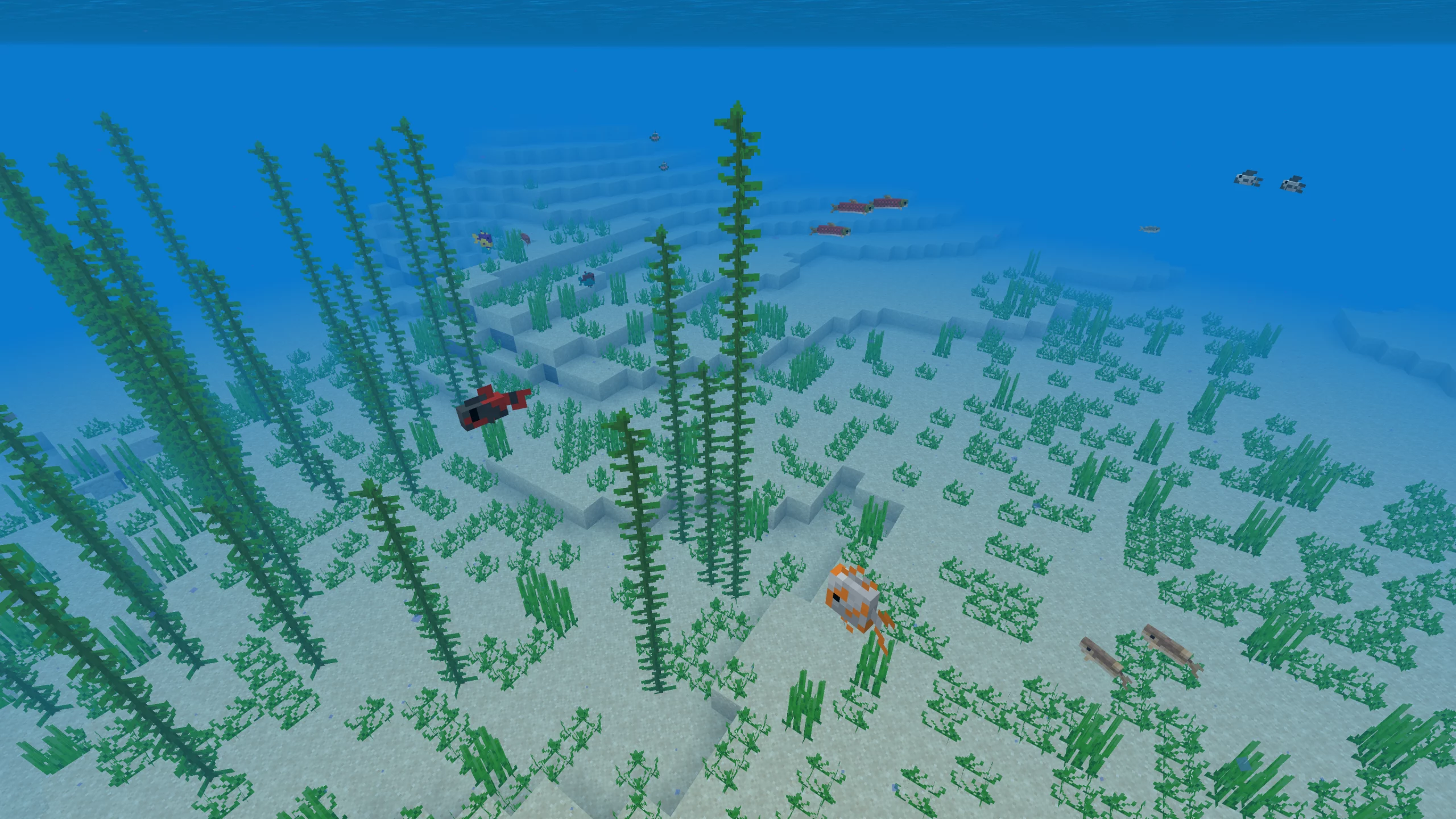 Underwater Minecraft, game, life, minecraft underwater, pufferfish, turtle,  HD phone wallpaper