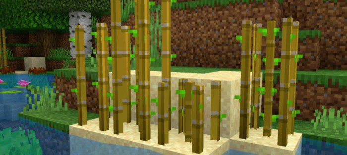 sugar cane minecraft texture