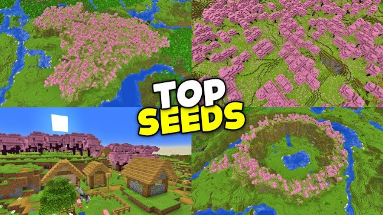Top 4 Cherry Blossom Minecraft Seeds (1.20.2, 1.19.4) Java Edition