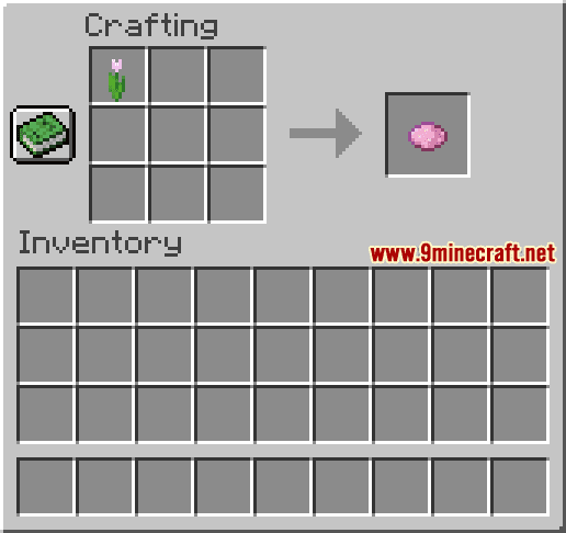 Pink Dye: Minecraft Pocket Edition: CanTeach