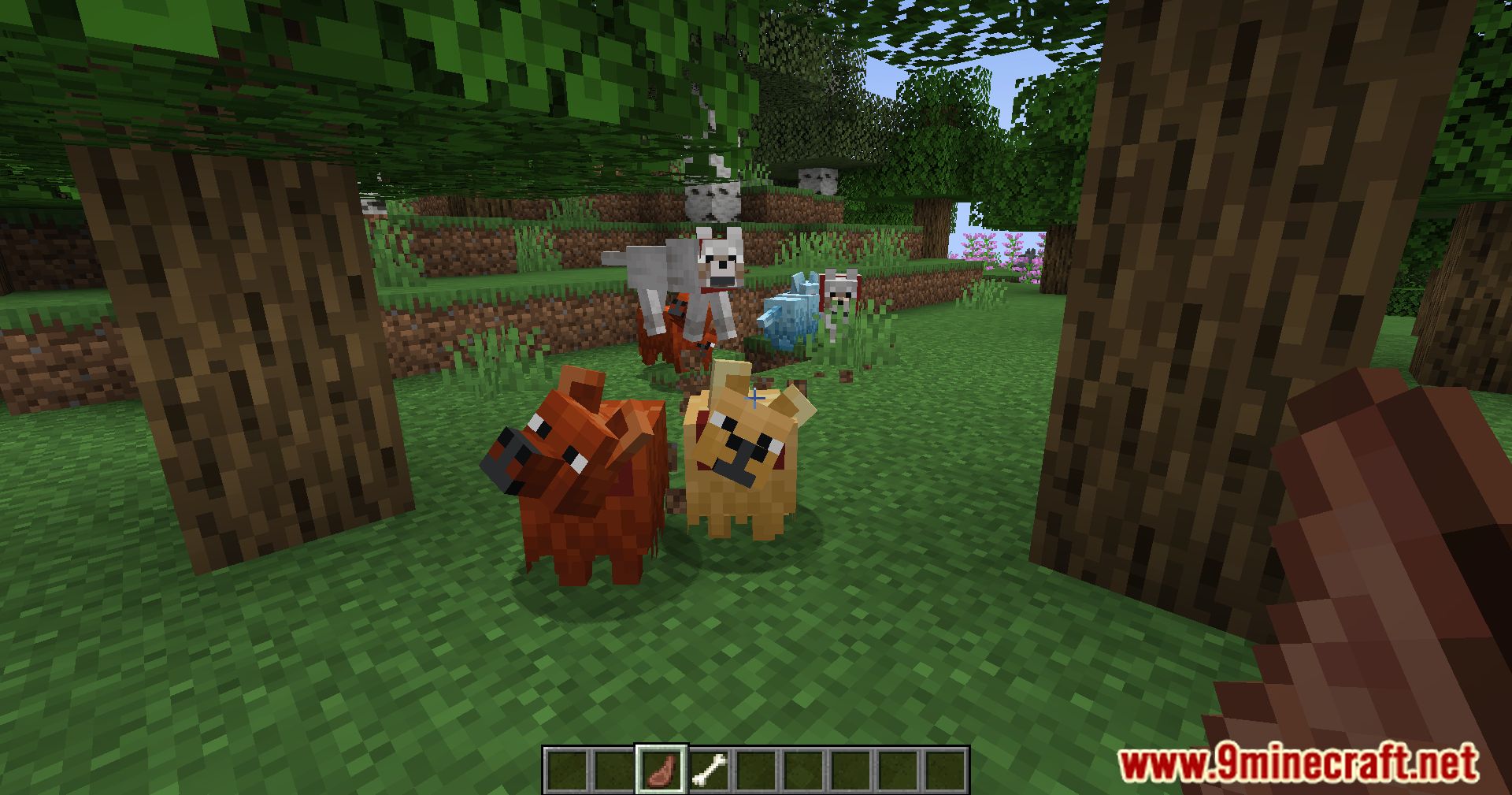 All Bark, All Bite Mod (1.20.2, 1.19.4) - Meet Minecraft's New Canine ...