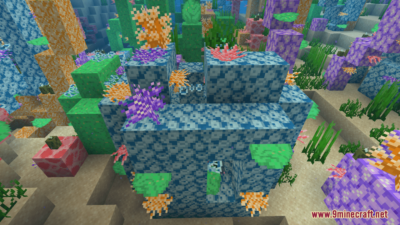 Tropical Coral Resource Pack (1.20.6, 1.20.1) - Texture Pack ...