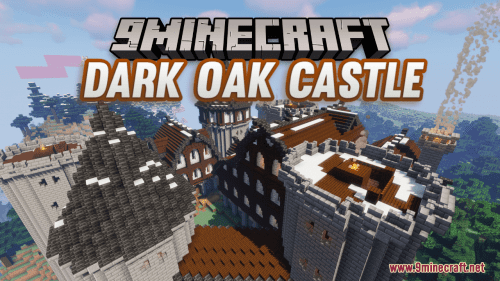 castle crashers texture pack Minecraft Map